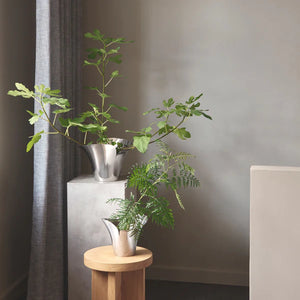 Blom - Maceta Mediana Botanica