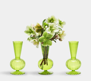 Tess Bud - Florero Verde (Juego de 3)