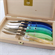 Cargar imagen en el visor de la galería, Berlingot - Caja de Cuchillos para Carne - Mango de Resina Mixto Azul / Verde (Juego de 6)