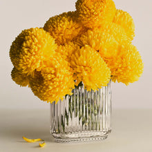 Cargar imagen en el visor de la galería, Bernadotte - Florero Oval de Cristal