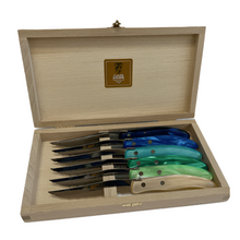 Cargar imagen en el visor de la galería, Berlingot - Caja de Cuchillos para Carne - Mango de Resina Mixto Azul / Verde (Juego de 6)