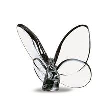 Cargar imagen en el visor de la galería, Papillon - Mariposa de la Suerte Transparente